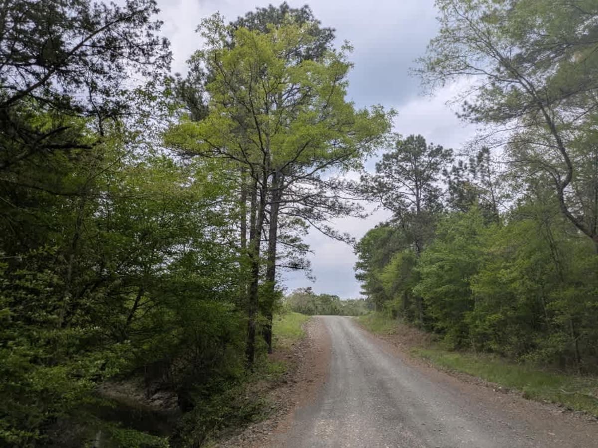 Gillham Lake Road photo 2