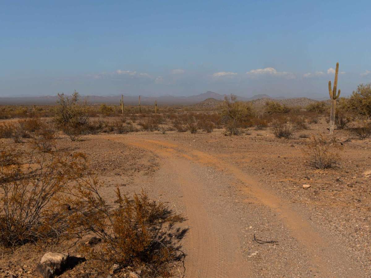 Coyote Windmill trail photo