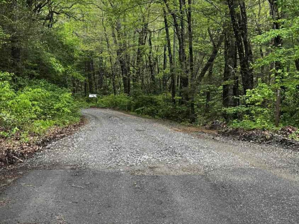 Cooper Creek FS Road 33 photo 2