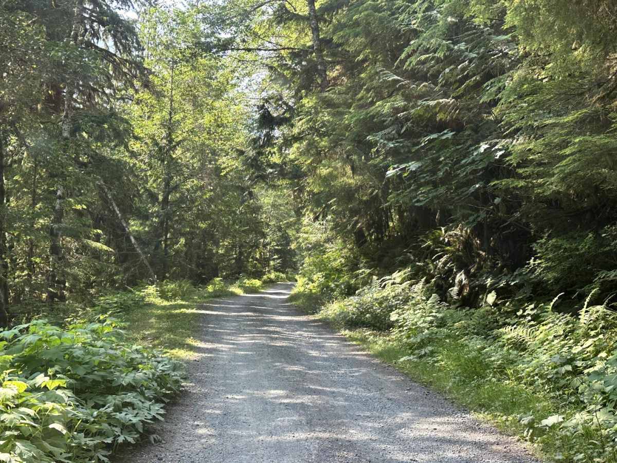 Glacier Creek Road photo 2
