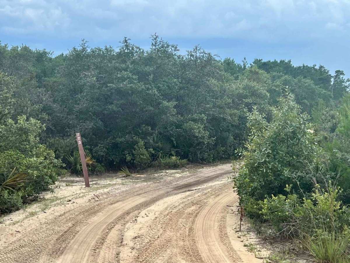 Ocala National Forest | Trail 38-2.3 photo 2