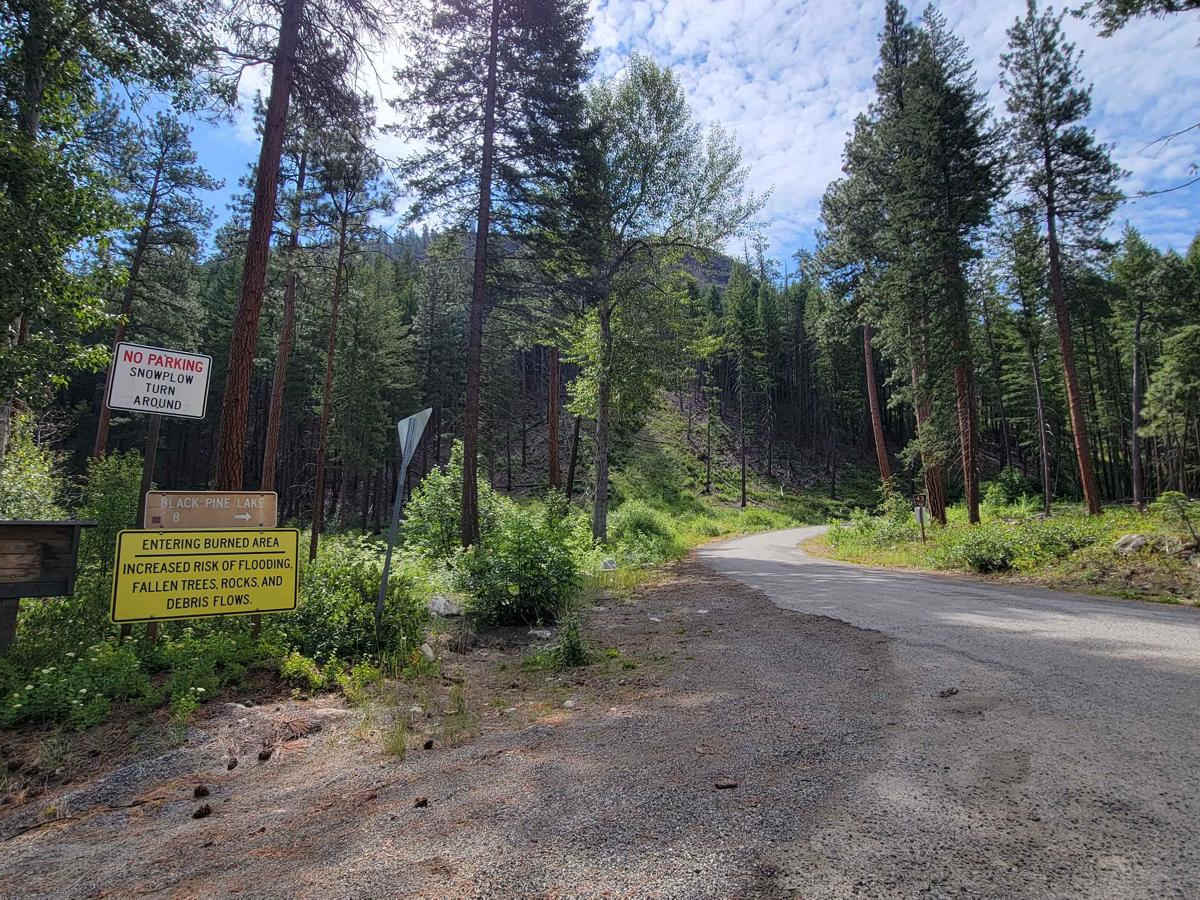 NF 43 - Buttermilk Libby trail photo