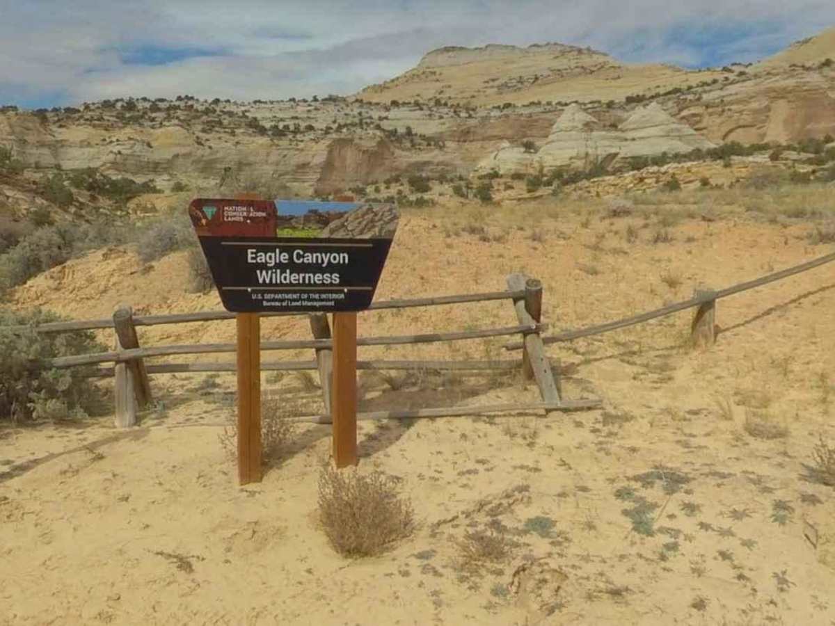 BLM639 photo 3