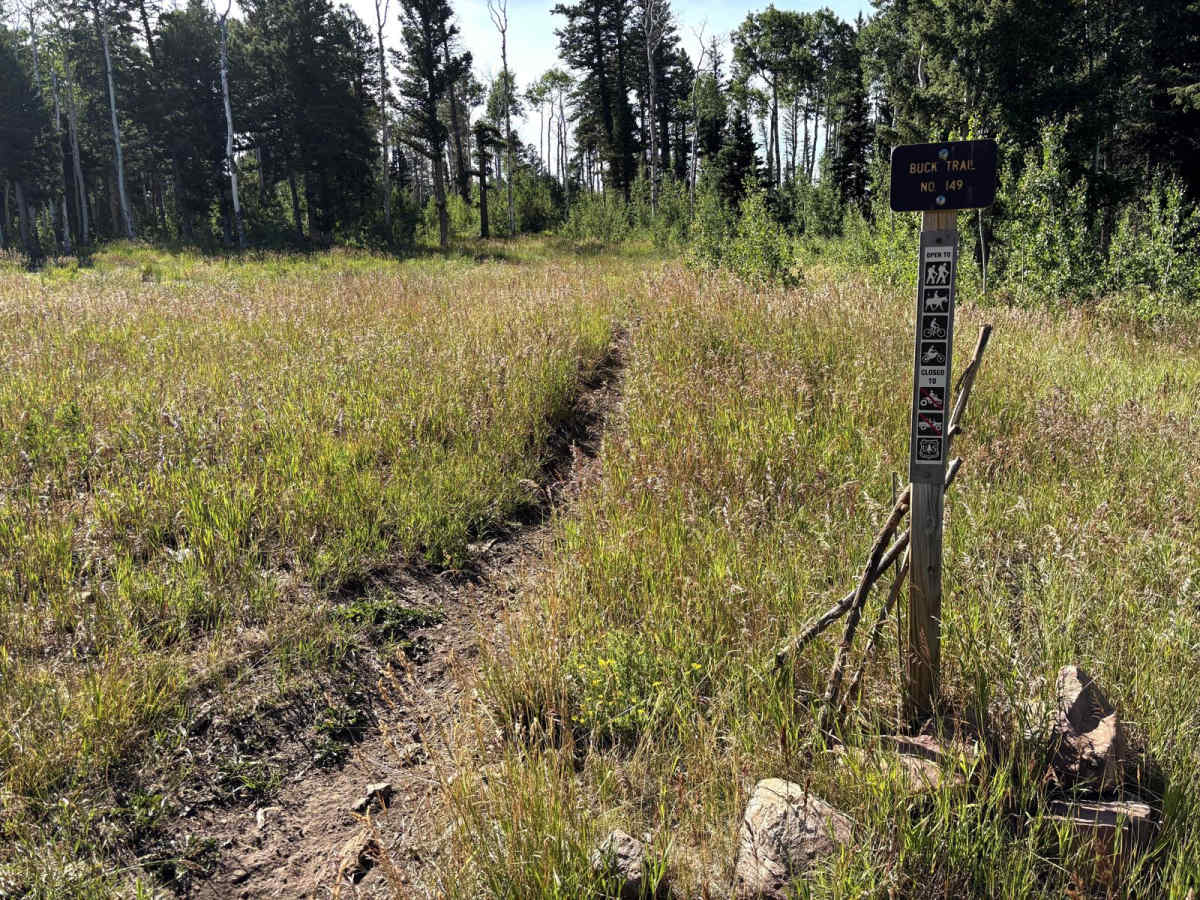 Buck Trail trail photo