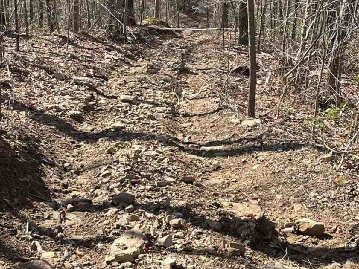 Trail 27 photo 4