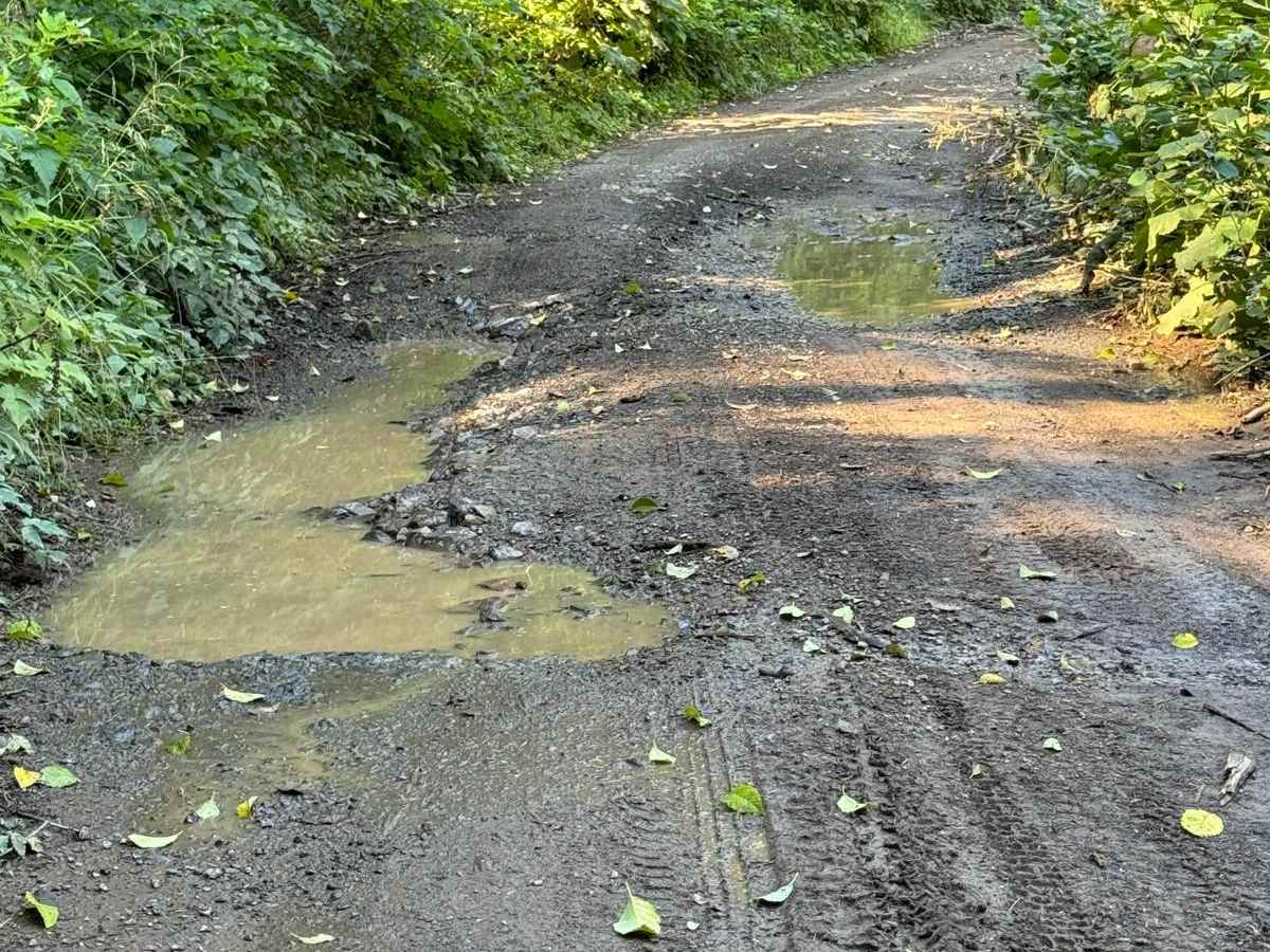 Poison Gulch Run photo 3