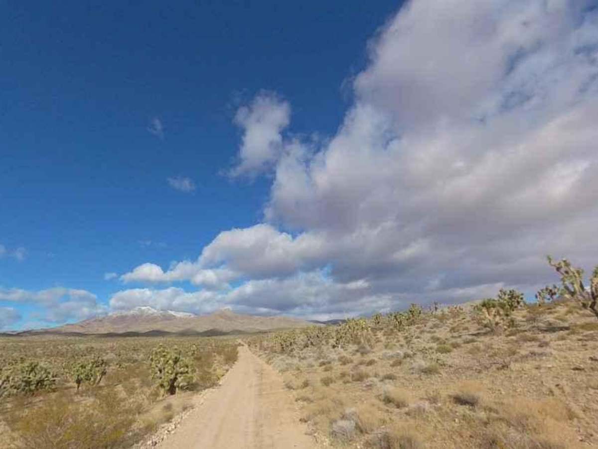 Waterline Road-BLM30086 photo 3
