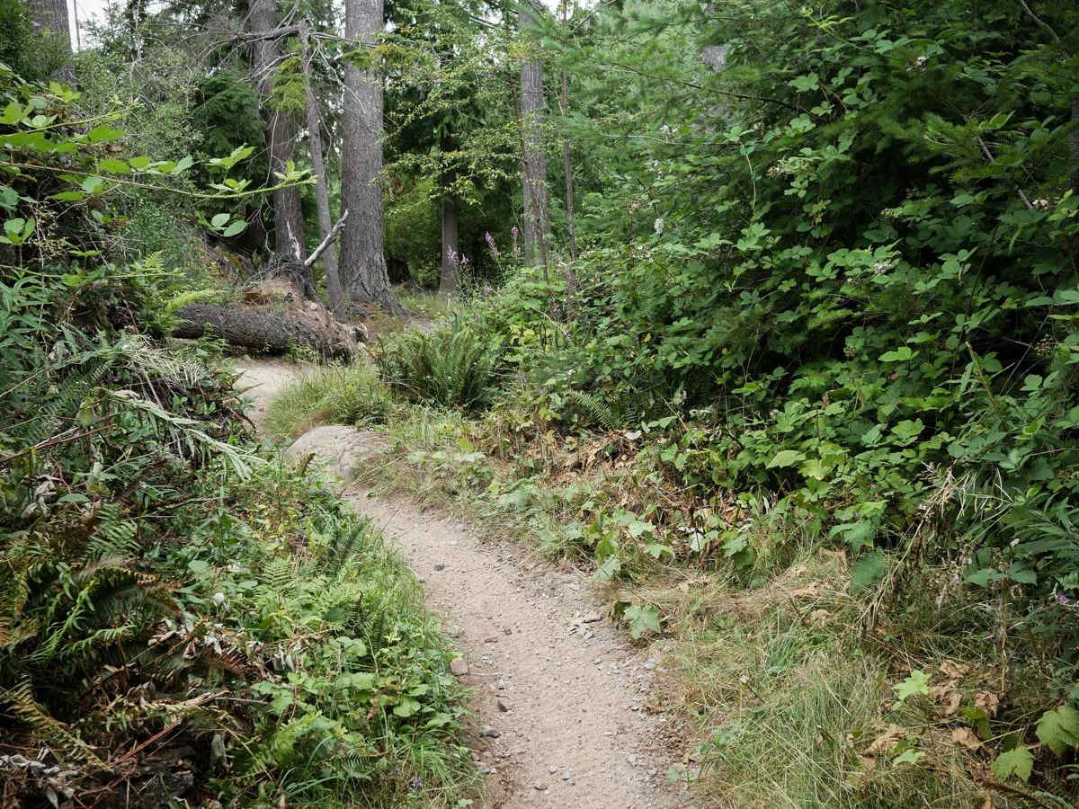 Webfoot photo 2