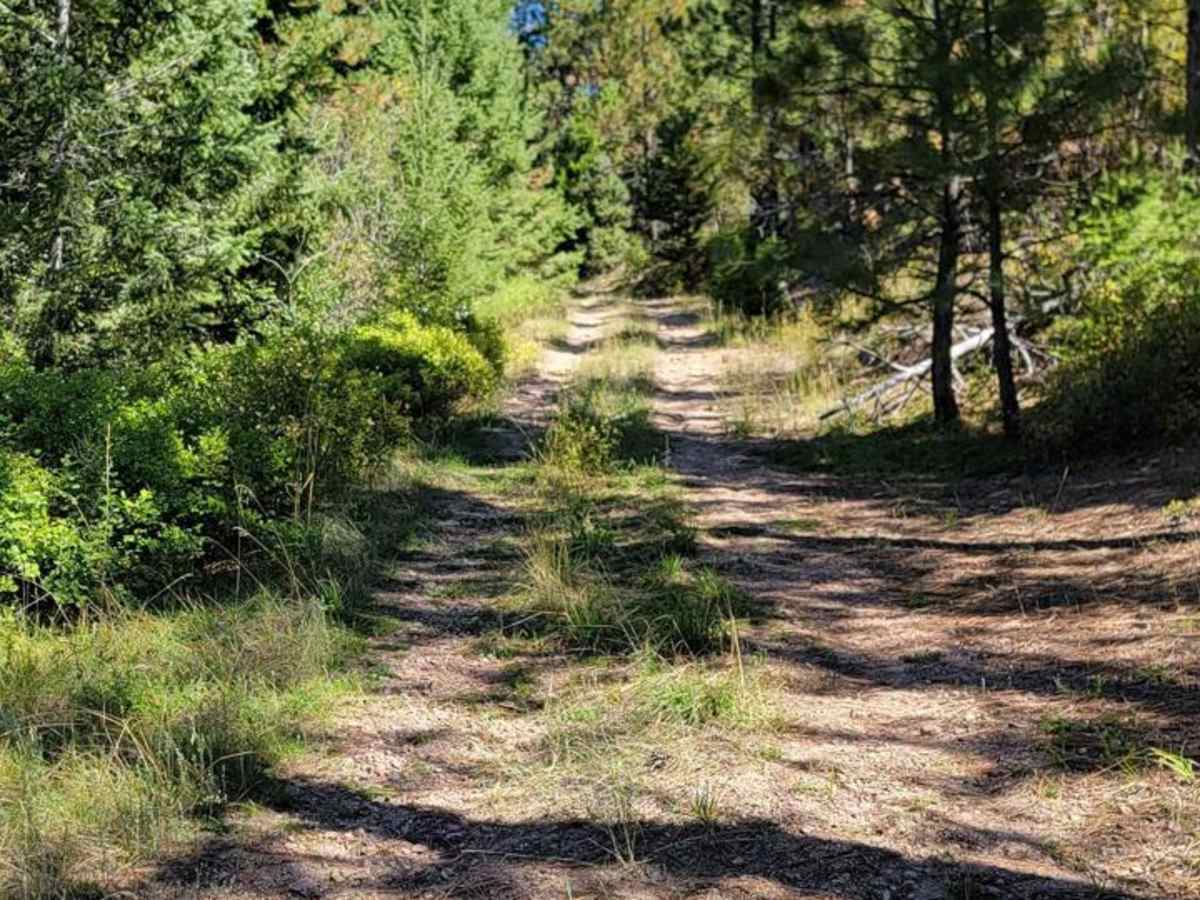 Blue Creek NF9738 photo 2
