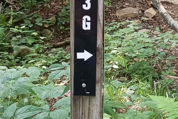 Trail 13G - Rock Run Recreation Area