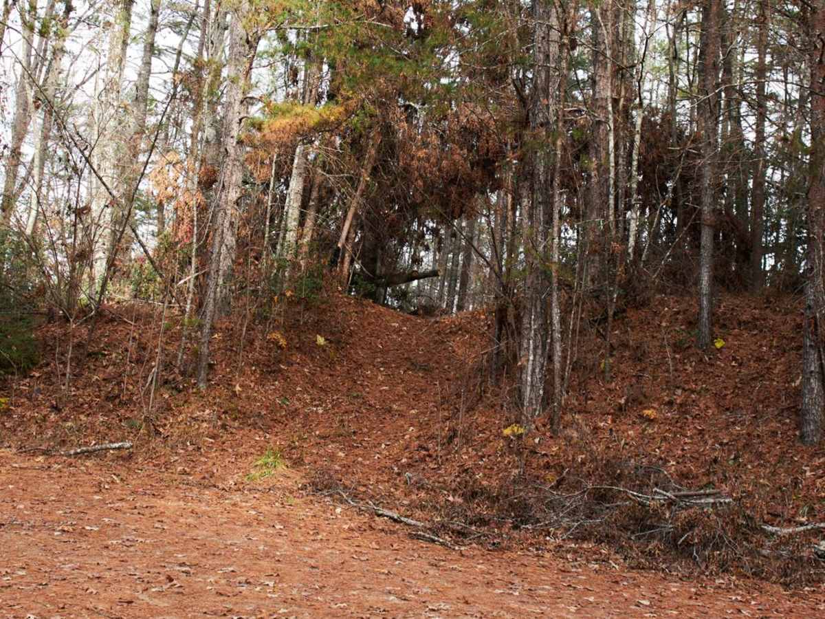 Fall Creek - FSR 722 photo 5