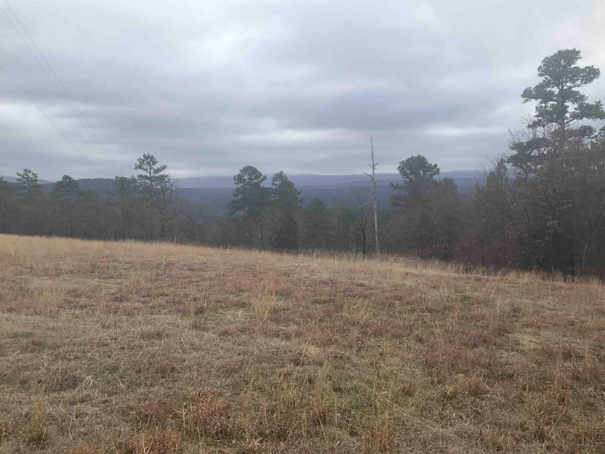 Tower Trail photo 5