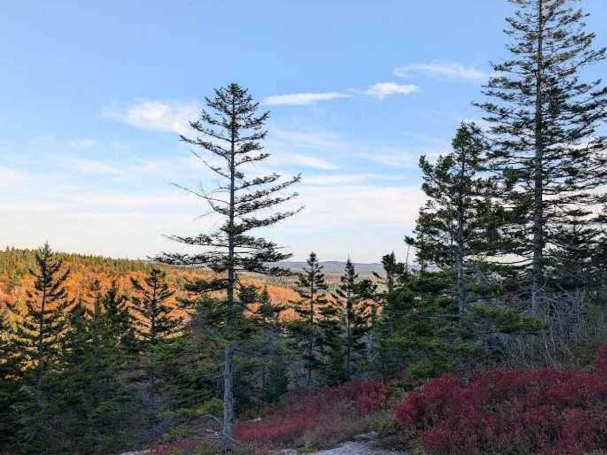 Turtle Mountain trail photo