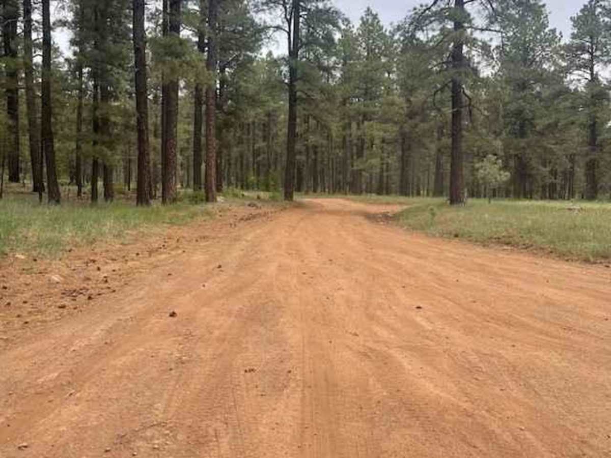 Blind Lake Tank Trail 213B photo 2