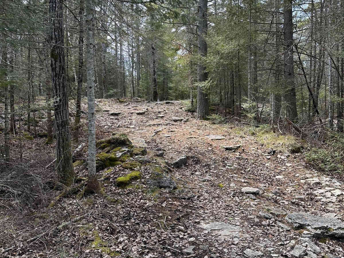 Moss Rock photo 3