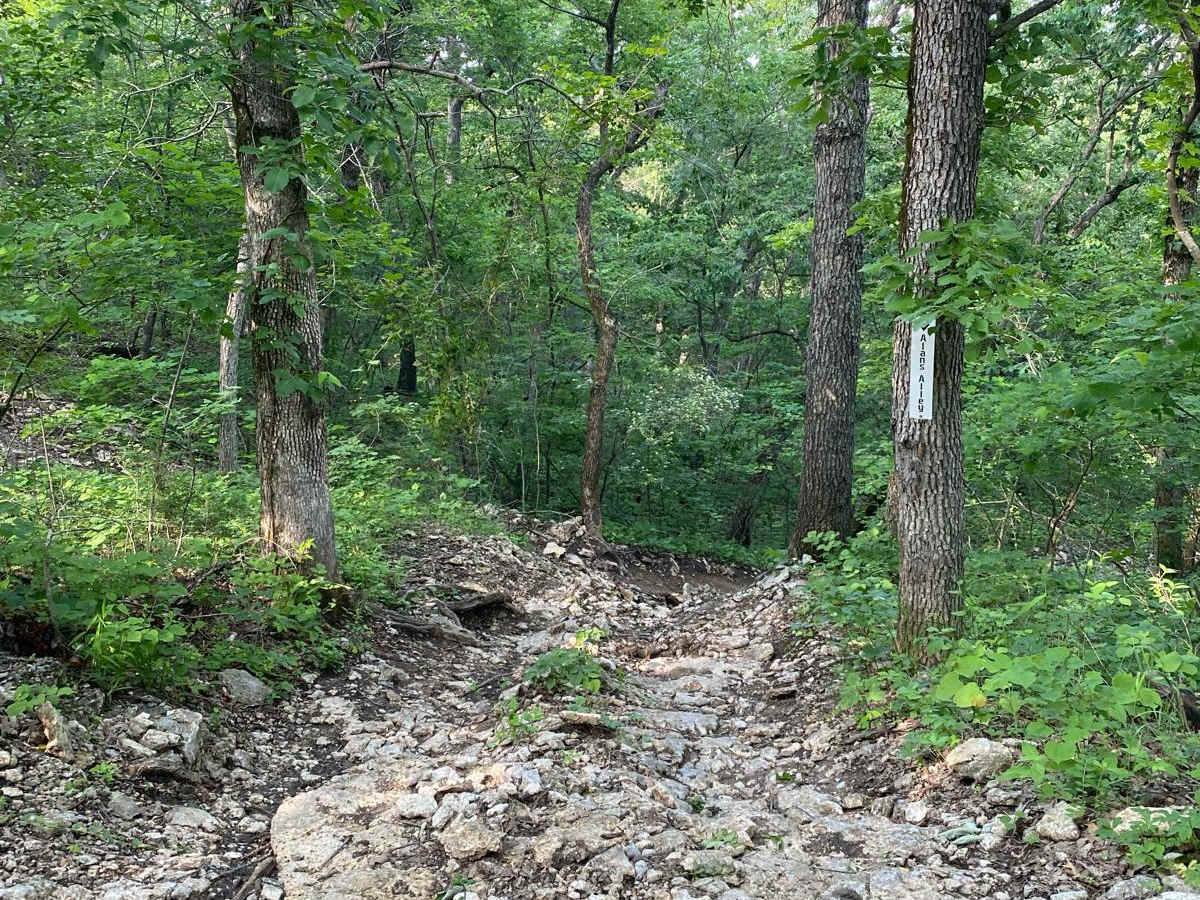 Alan's Alley trail photo
