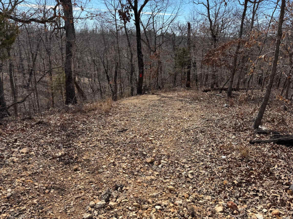 Red 386 trail photo