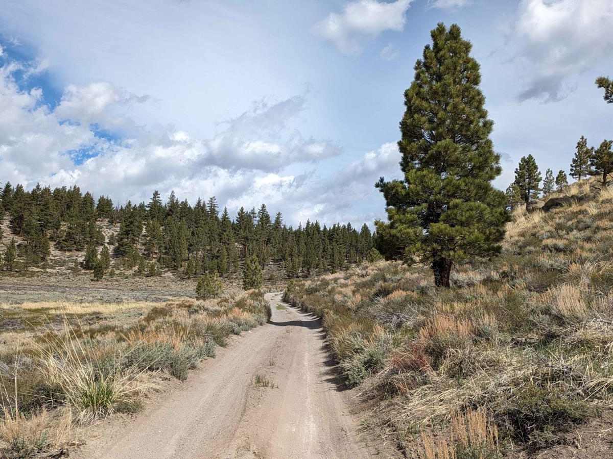 Little Hot Creek Hill Loop photo 6