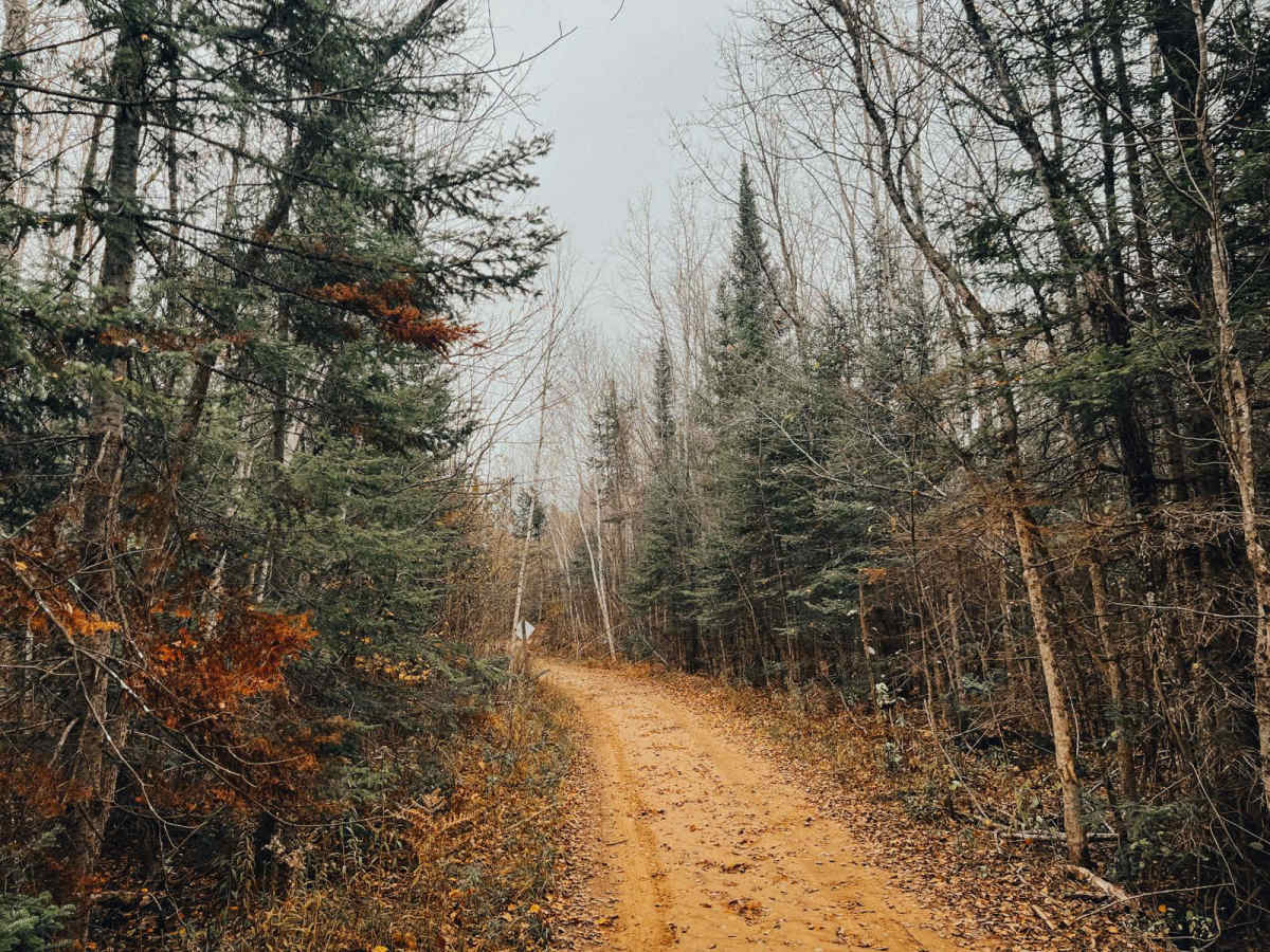 Cedar River Side Spur trail photo