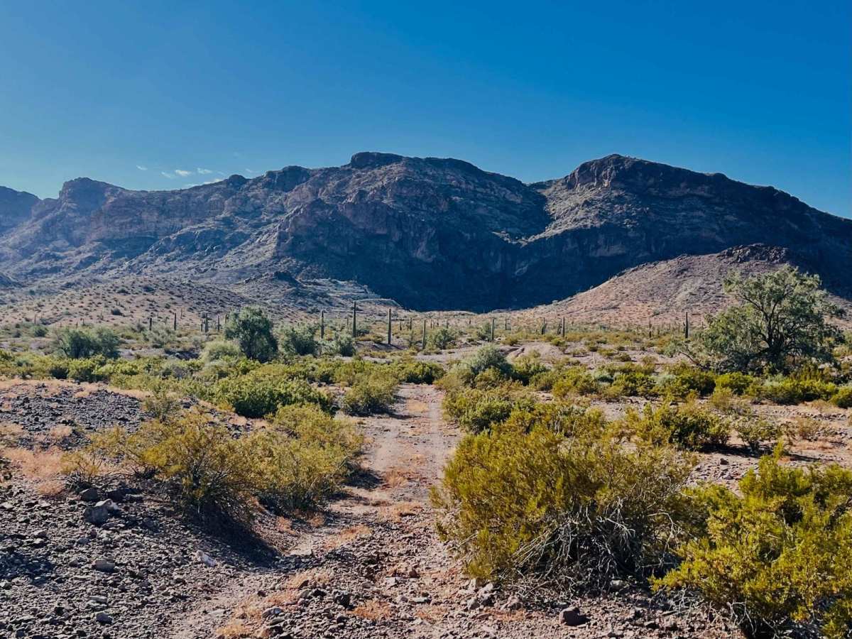 Abandoned Mine Trail photo 5