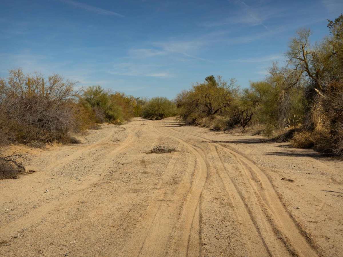 Parker Wash photo 6