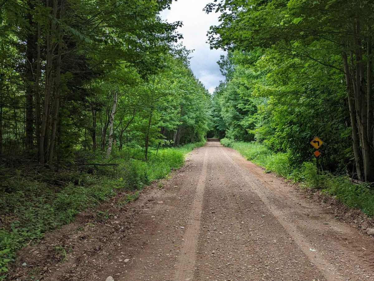 The Wolf - Jungle Lake Stretch trail photo