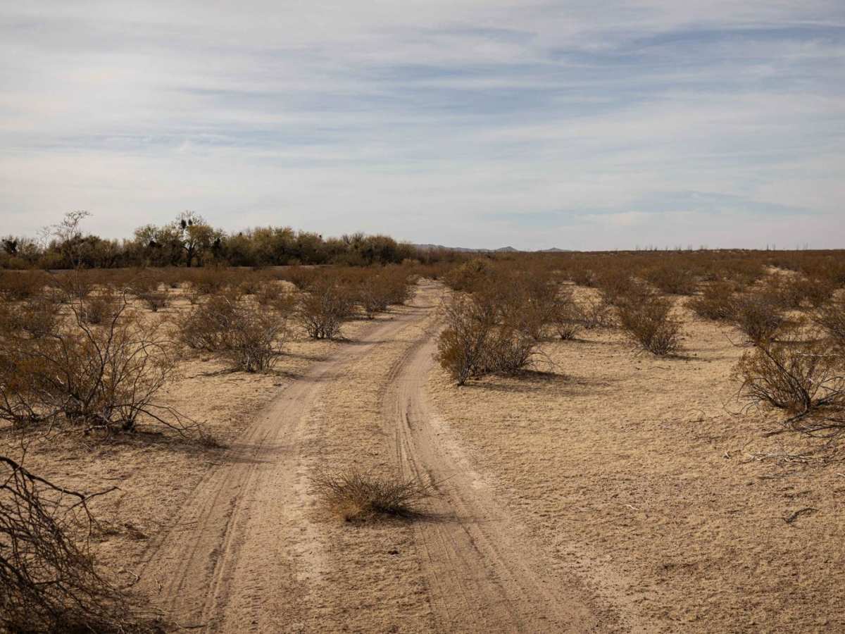 Oracho Ranch Road photo 6