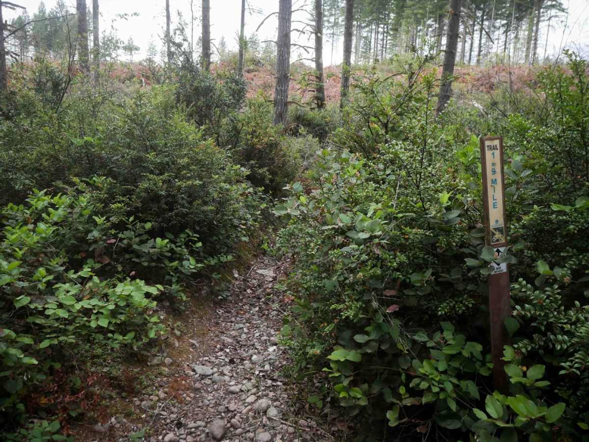 1.9 Mile trail photo
