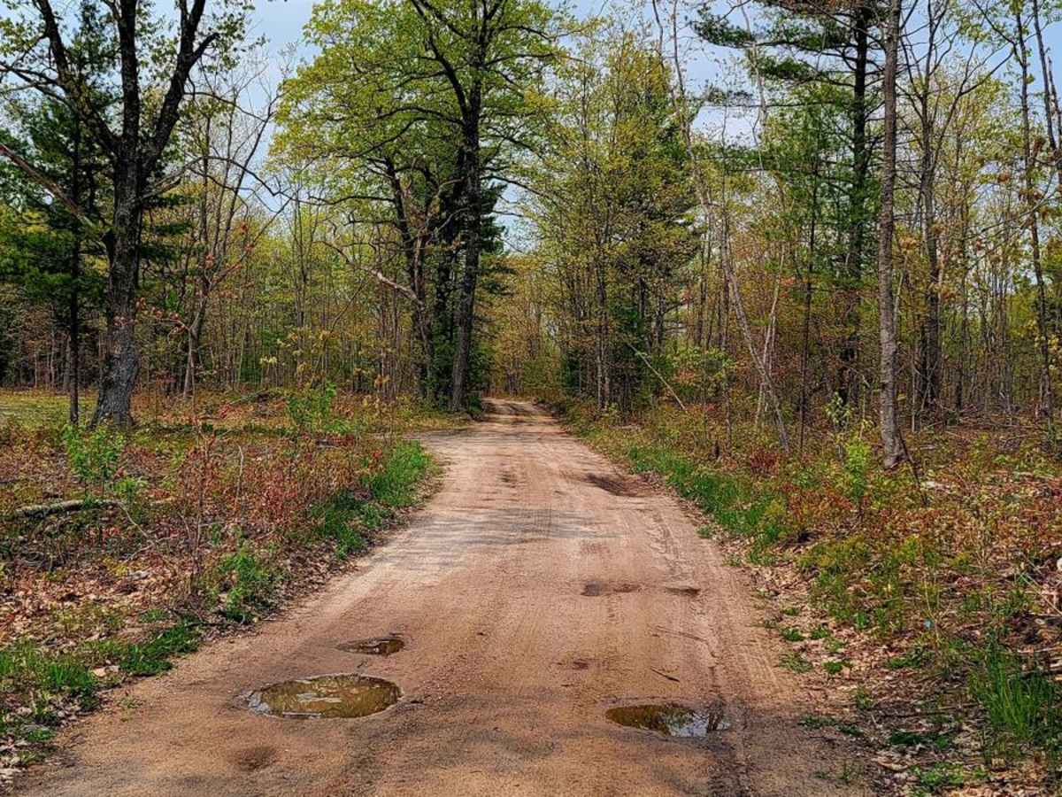Afton Area Trail trail photo
