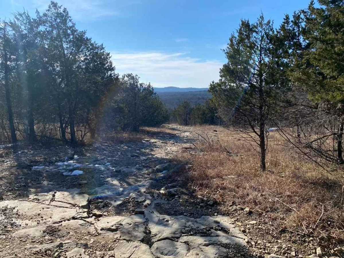 Tennyson Hollow West - FS 507 photo 6