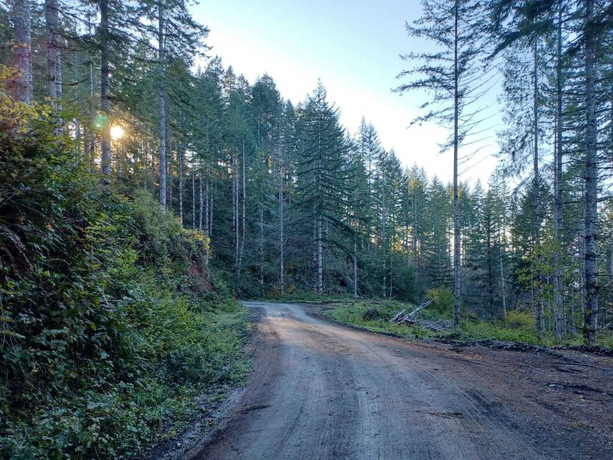 Boundary trail photo