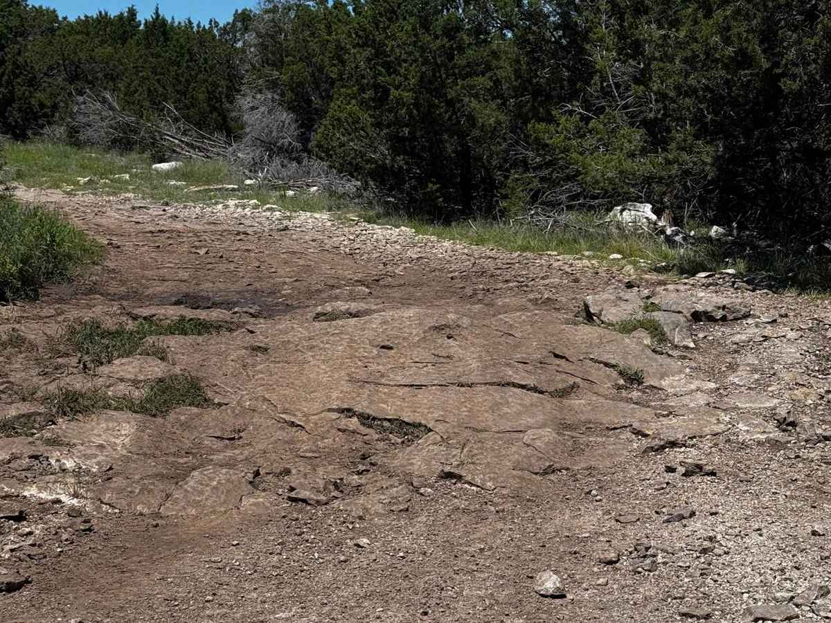 Powerline trail photo
