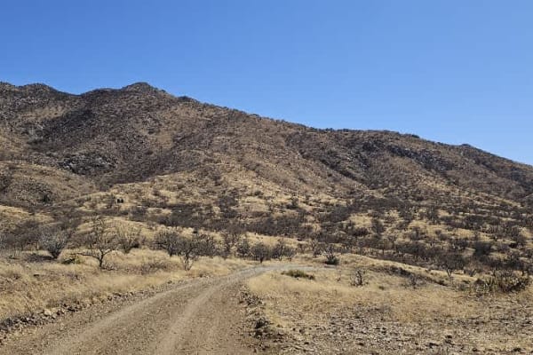 Palomas Mesa