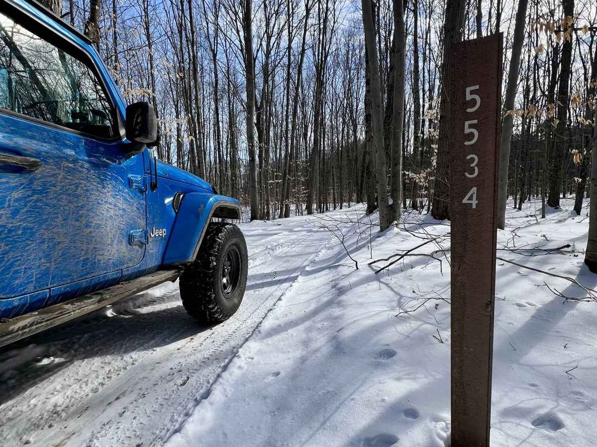 NFS 5534 (Brush Lake Trail) photo 4