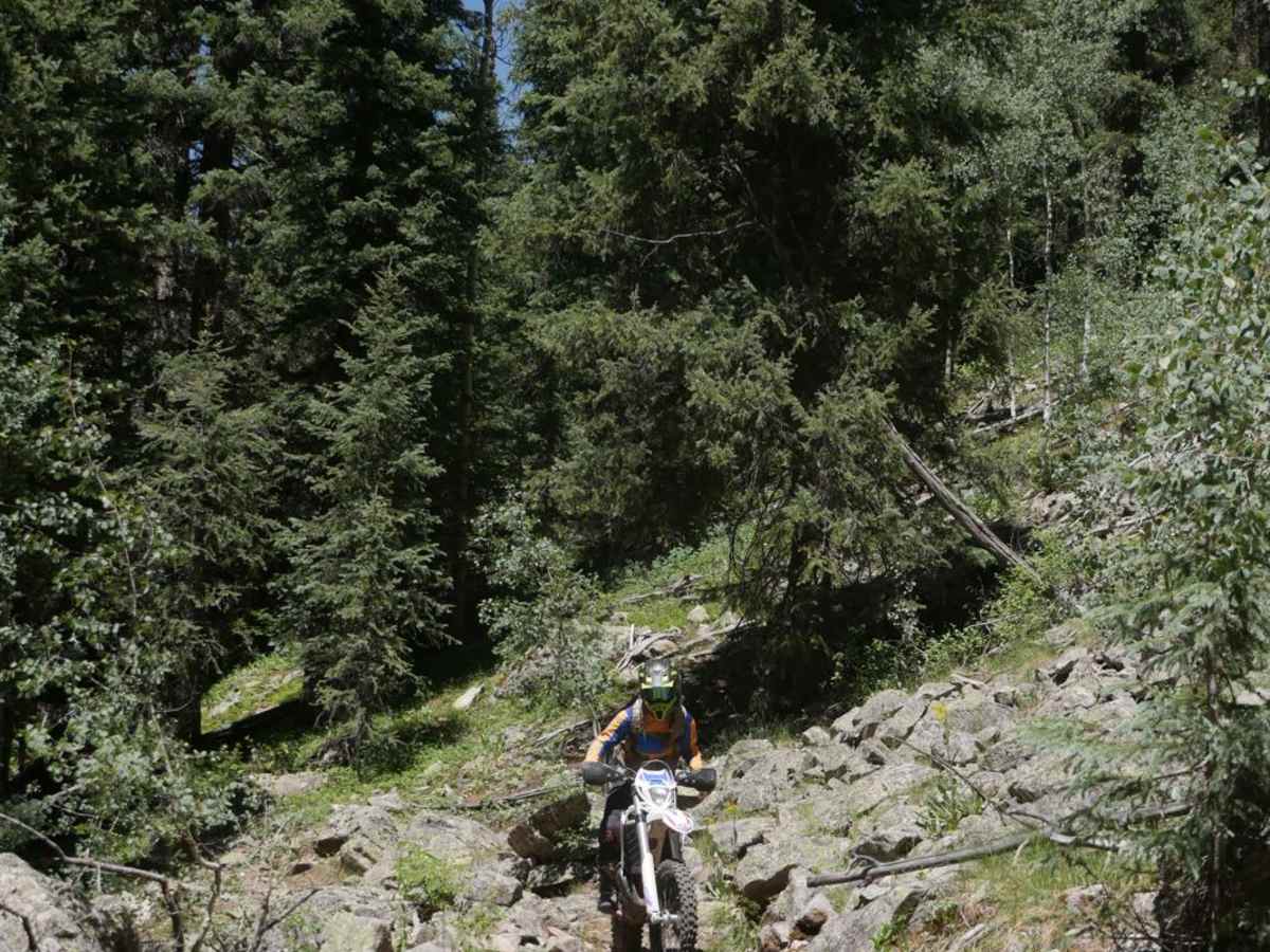 East Fork Trail photo 5