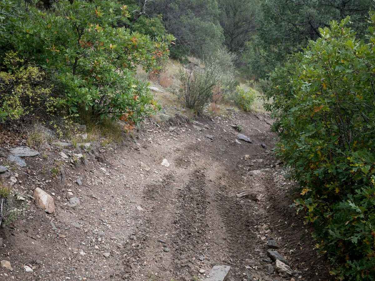 6057A ATV photo 6