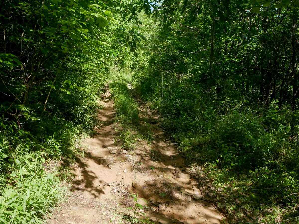 RV27 photo 4