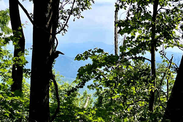 Flat Top Mountain