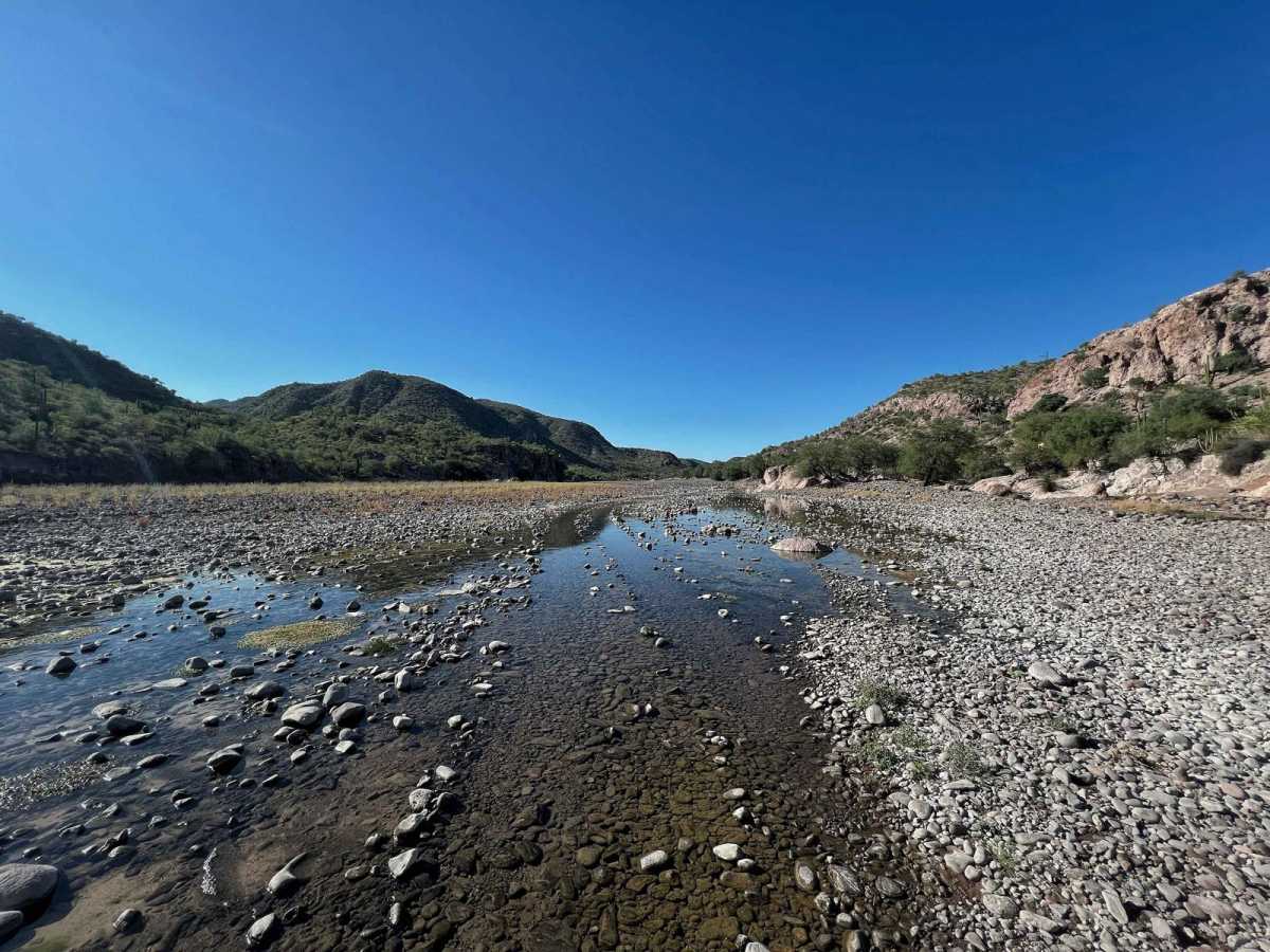 San Borjas photo 5