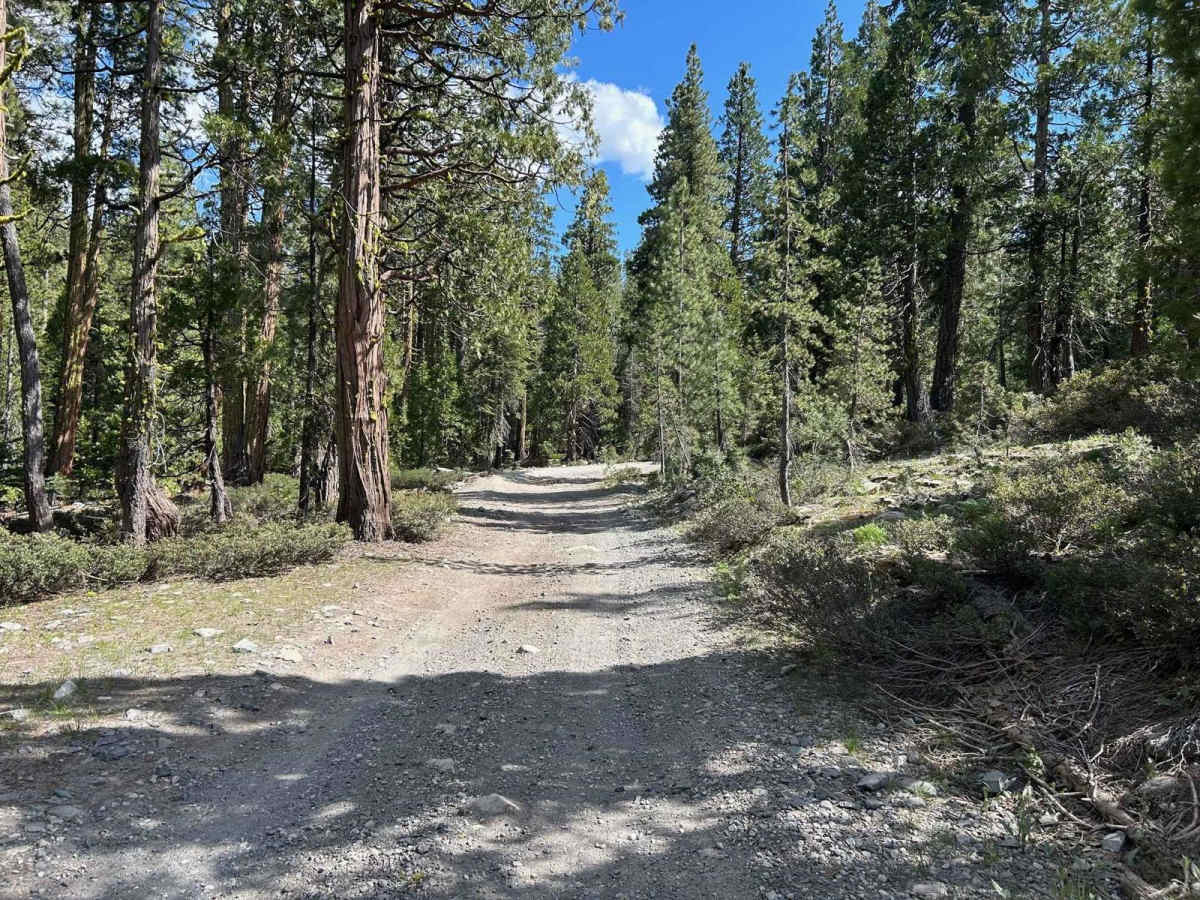 Meadow Lake Road photo 2