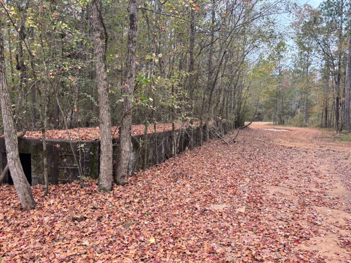 Old Railroad Bed trail photo