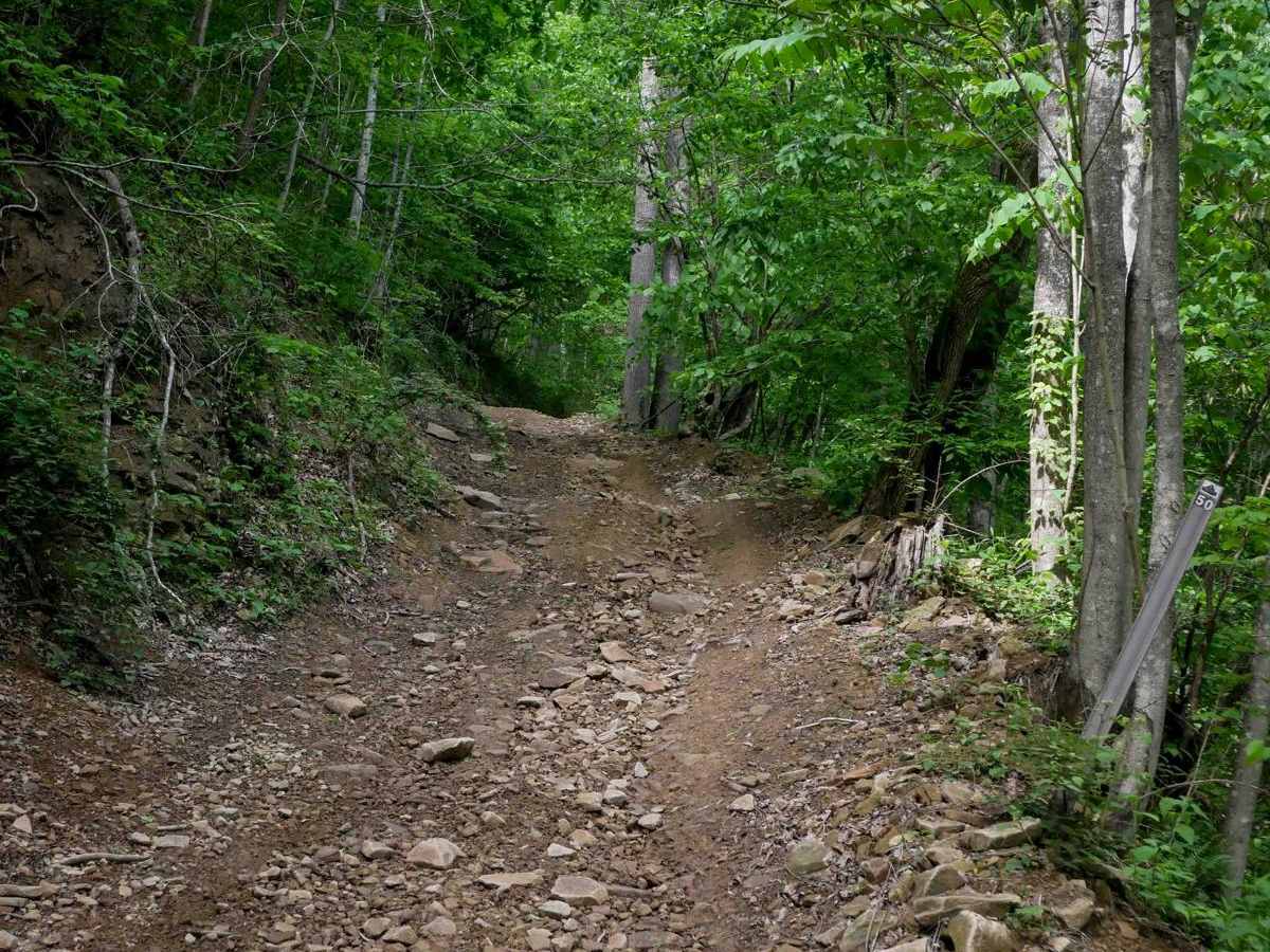 B50 trail photo