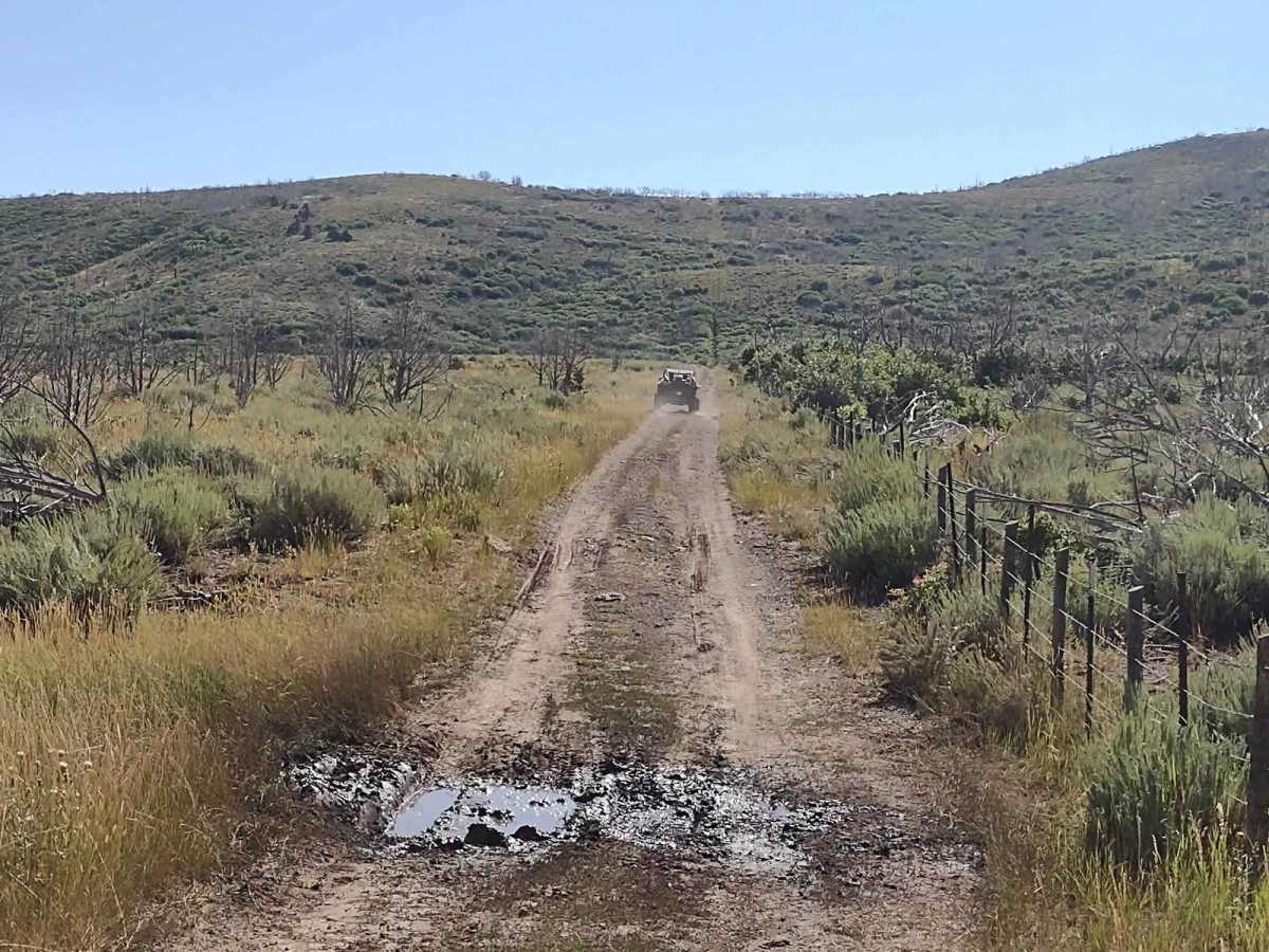 FS Trail #41020 photo 6