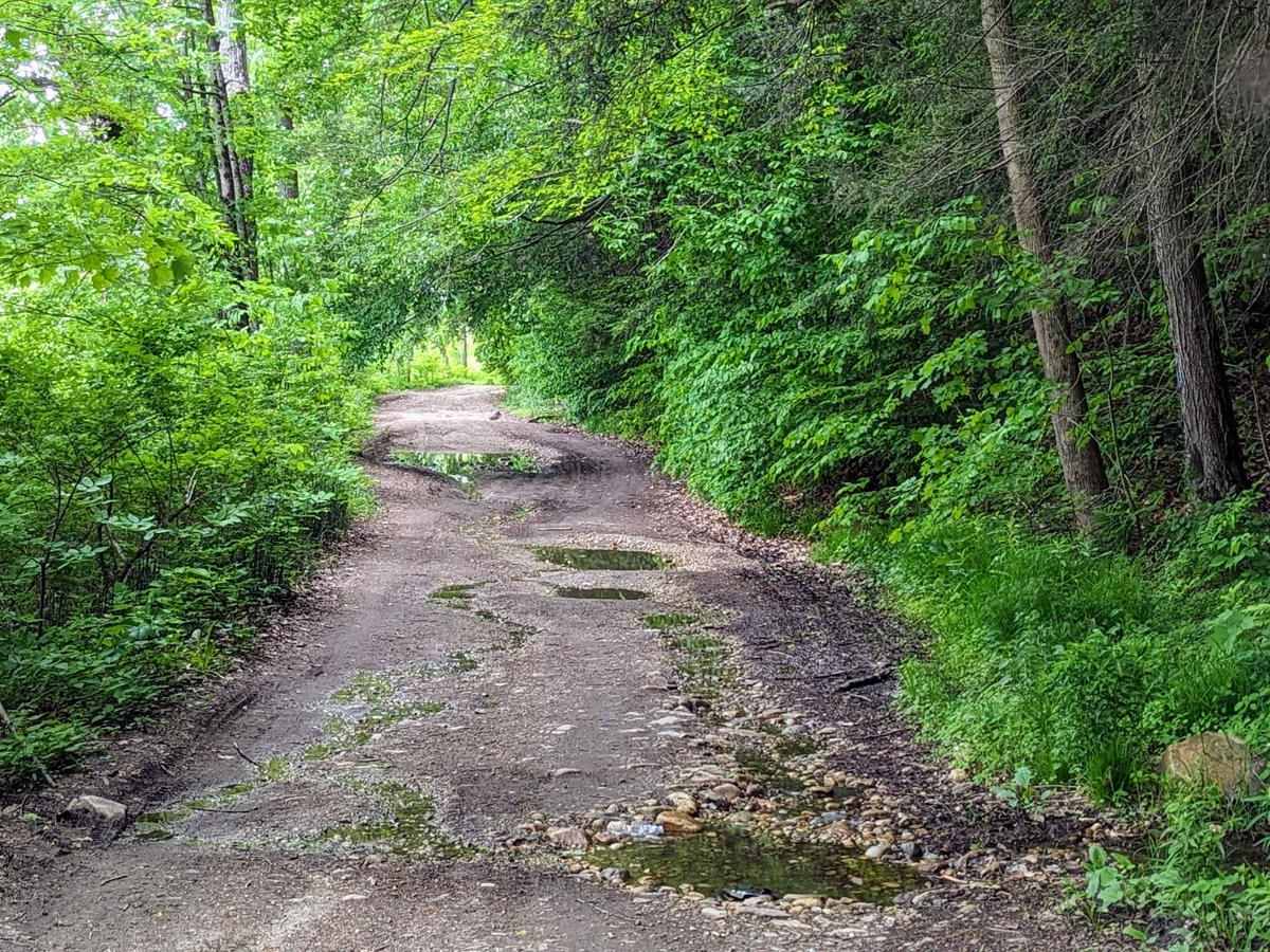 Roaring Brook Road photo 5