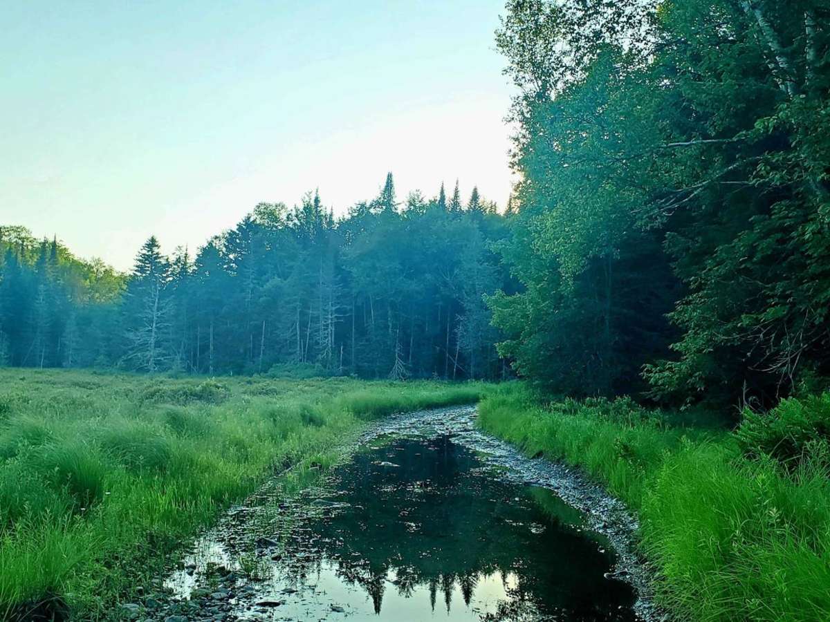 Twin Lakes photo 6