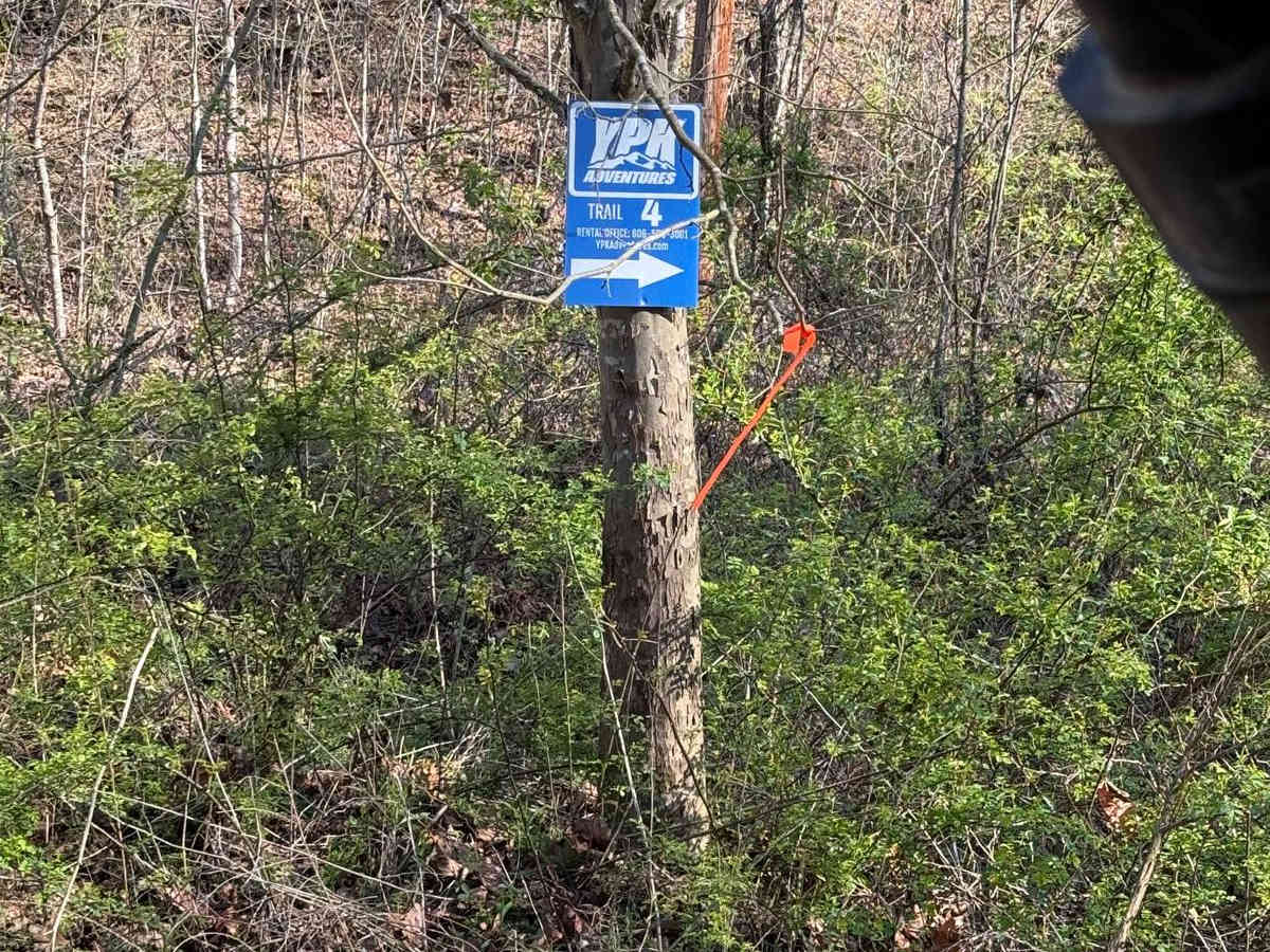 Trail 4 trail photo