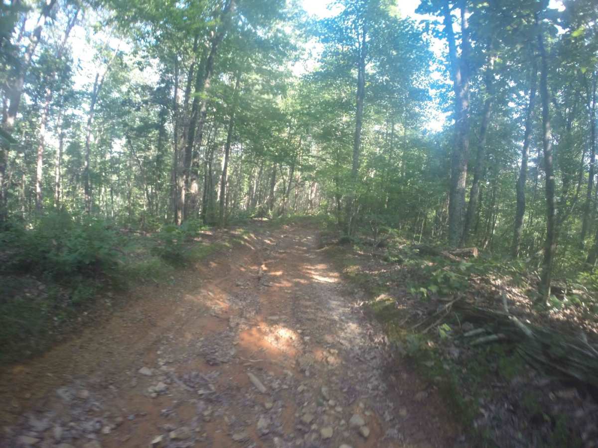 Manning Mill Spur - Forest Road 227A photo 4