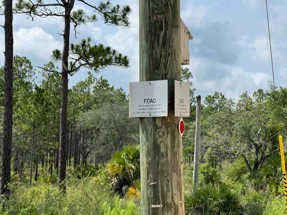 Citrus Wildlife Management | Trail 20 trail photo