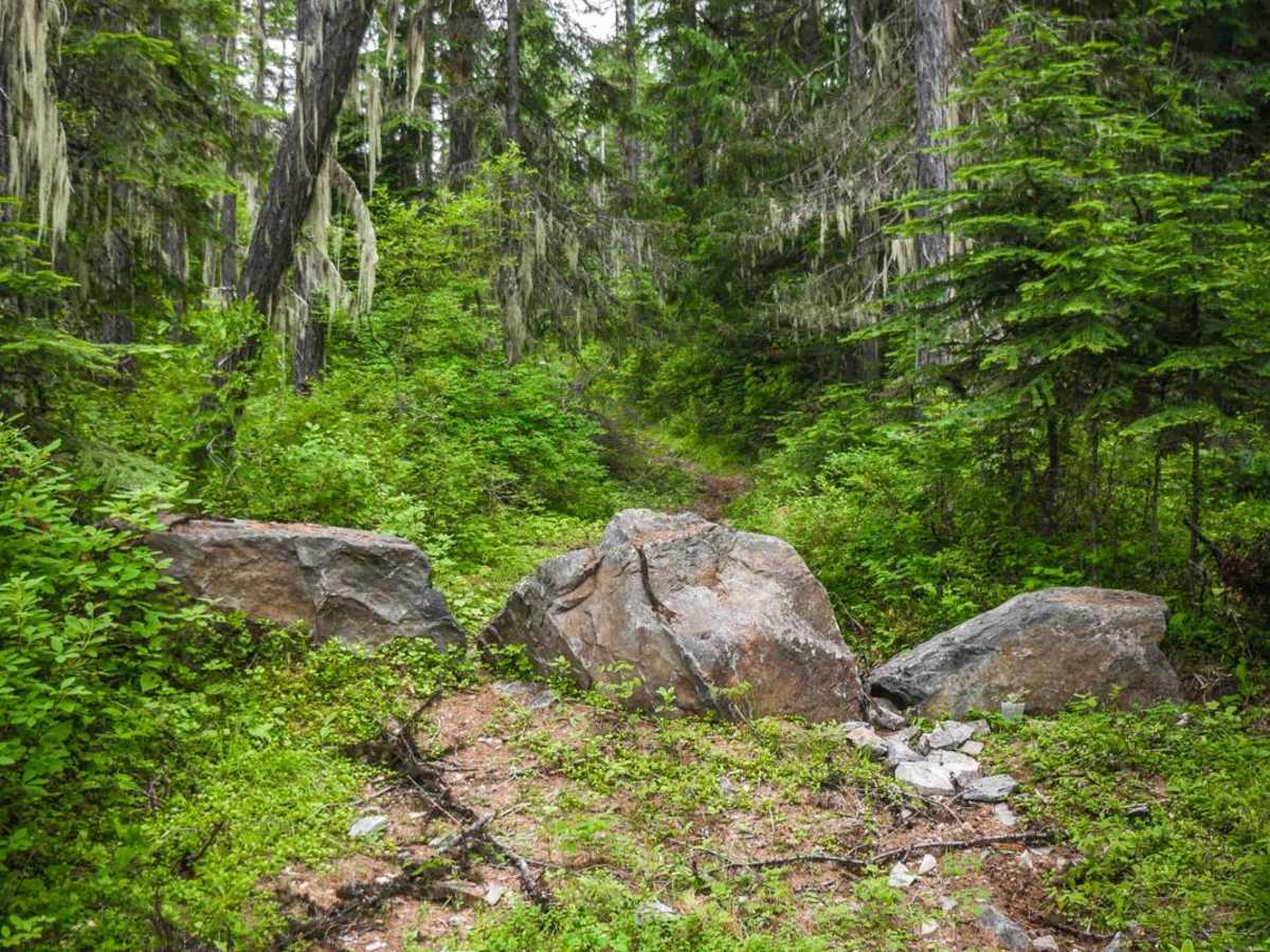 Chipmunk Creek photo 5