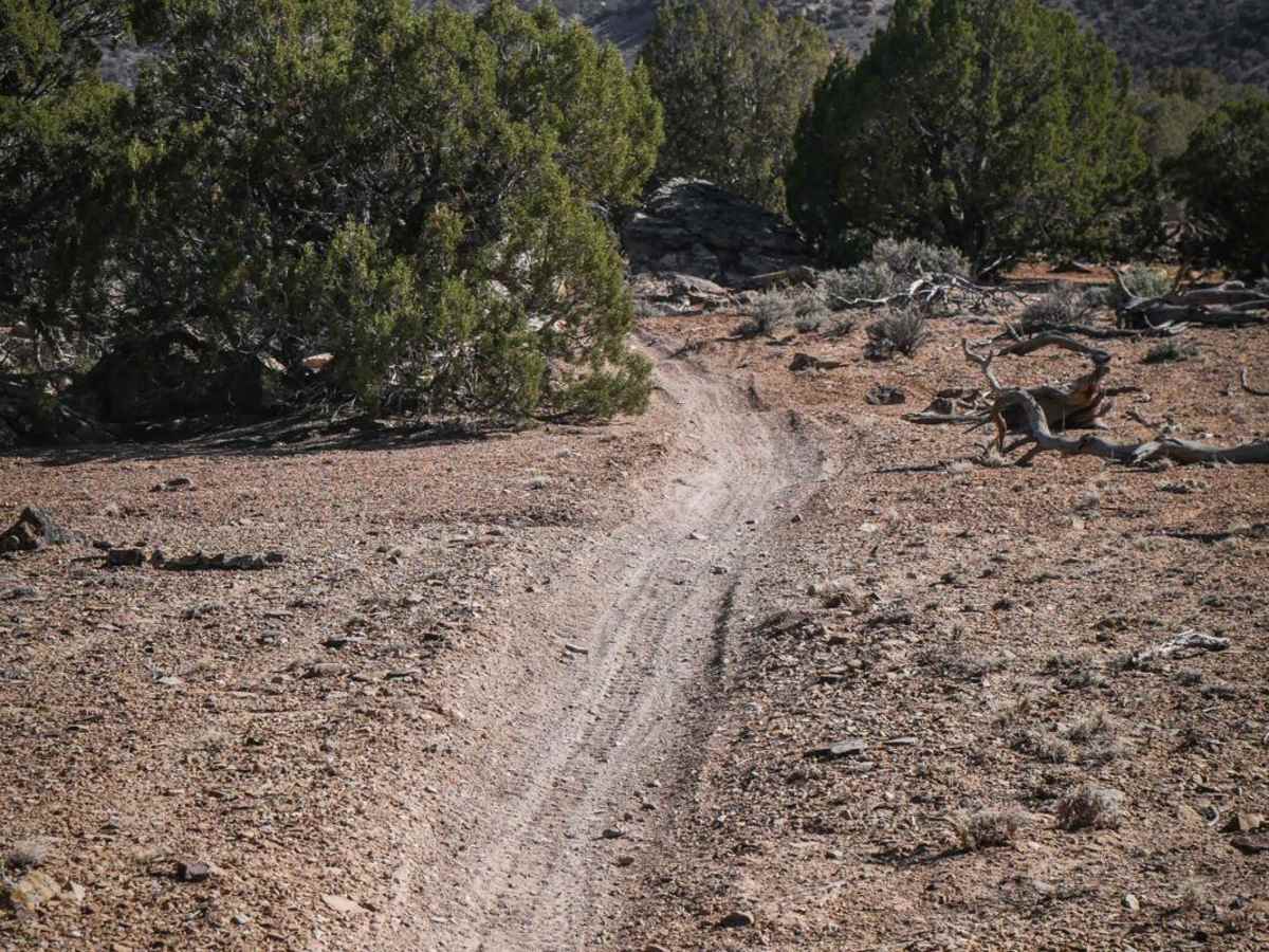 Coyote Ridge photo 5